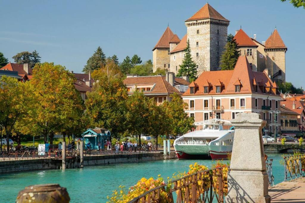 Tres Beau Studio Centre Ville, Au Calme Annecy Bagian luar foto